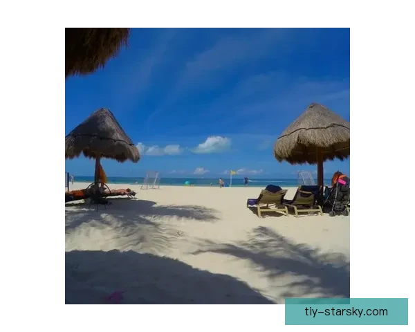 太阳报称葡萄牙选坎昆为大本营 太阳报称葡萄牙选坎昆为大本营