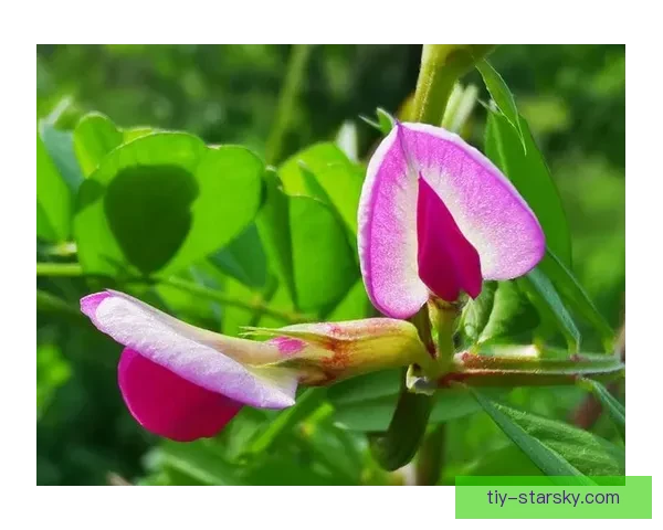 34岁科克回应质疑状态正盛依旧