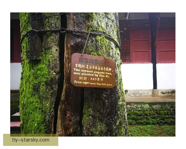 库巴西仰望三代铁卫风骨传奇录 库巴西仰望三代铁卫风骨传奇录