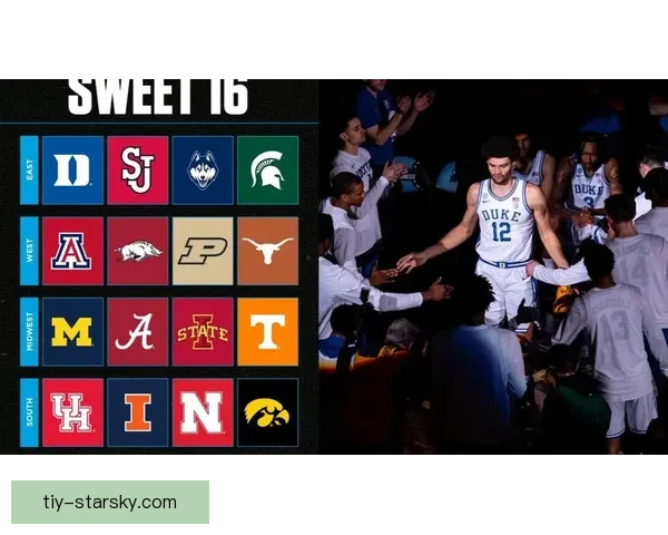 2025-26赛季NCAA疯狂三月甜蜜十六强前瞻