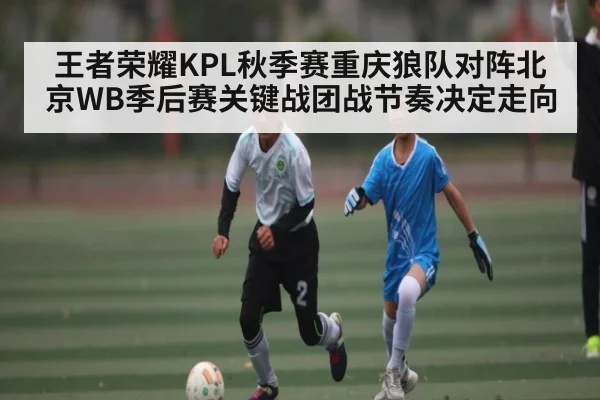 王者荣耀KPL秋季赛重庆狼队对阵北京WB季后赛关键战团战节奏决定走向